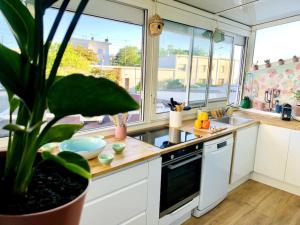 a kitchen with a potted plant on the counter at L'Étoile Des Sables - Maison de ville climatisée classée 4 étoiles - 4 personnes - Plage de la Grande Conche à 200m - ROYAN in Royan