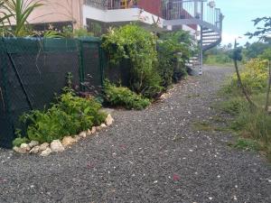 Zahrada ubytování Chambre avec cuisine et SDB semi-privatives separées dans un ecrin de verdure
