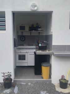 Kuchyň nebo kuchyňský kout v ubytování Chambre avec cuisine et SDB semi-privatives separées dans un ecrin de verdure