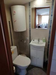 małą łazienkę z toaletą i umywalką w obiekcie Wypoczynek Gawrych Ruda w Gawrych Rudzie