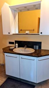 un bagno con lavandino e specchio di Ferienwohnungen Woidzauber a Zwiesel Altre 27 foto