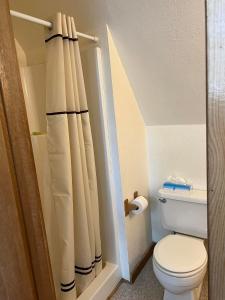 a bathroom with a toilet and a shower curtain at Chalet in Hill City