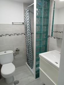 a bathroom with a toilet and a sink and a shower at Europa 505 in Maspalomas +4 photos