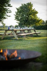 een picknicktafel in een veld met een vuur bij Blauwe Hoeve Luxe, ruimte, privacy en rust in Retranchement