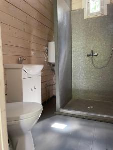 什文托伊的住宿－Jūros terasos，一间带卫生间和淋浴的浴室