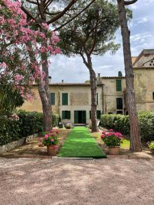 - une vue sur l'extérieur d'un bâtiment avec des arbres et une pelouse dans l'établissement L'Antico casale dell'800, à Albinia