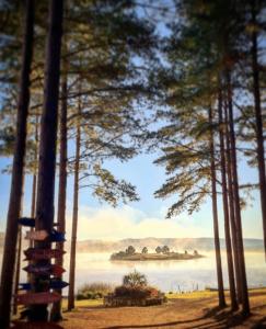 a view of a body of water with trees at Tedesco Eco Park in São Francisco de Paula