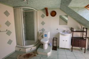 a bathroom with a shower and a toilet and a sink at Villa Ametyst in Štúrovo +38 photos