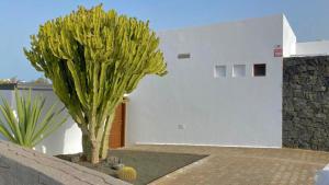 Fotografie z fotogalerie ubytování Sea Moon Lanzarote v destinaci Playa Blanca