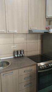 ครัวหรือมุมครัวของ Relax 2 besplatan parking +6 ภาพ