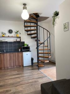 a kitchen and a spiral staircase in a room at Apartmán U Jakuba in Dvůr Králové nad Labem