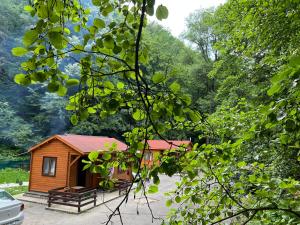 una pequeña cabaña en medio de un bosque en Sound of Nature Tismana, en Tismana