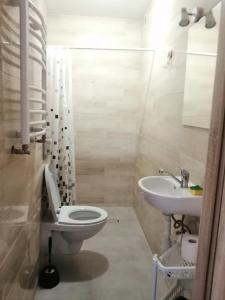Jasionka في اوسترزوكي دولن: حمام مع مرحاض ومغسلة
