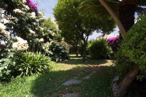 un giardino con fiori, alberi ed erba di Ampio monolocale in villa con giardino a Ischia