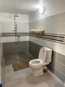 a bathroom with a toilet and a shower at LES GÎTES DE BIBINE gîtes tout confort coin calme et tranquille in Rabi