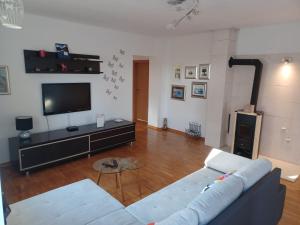 TV a/nebo společenská místnost v ubytování Lara apartment