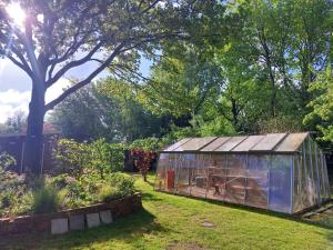 Zahrada ubytování Slaaphuisjes op wielen BuitenWedde Westerwolde