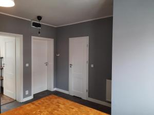 una stanza vuota con pareti grigie e porte bianche di Apartament Janickiego a Stettino