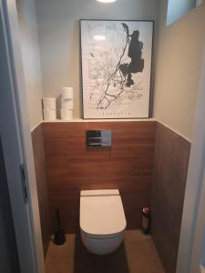 a bathroom with a toilet with a picture on the wall at Apartament Janickiego in Szczecin