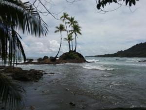 two palm trees on an island in the ocean at Corcovado Guide House in Barrigones