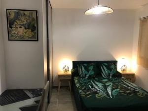 ein Schlafzimmer mit einem Bett und zwei Nachttischen in der Unterkunft Argelès sur mer appartement standing in Argelès-sur-Mer