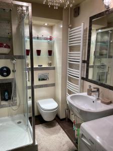 a bathroom with a toilet and a sink and a shower at Apartment Ljiljana in Belgrade