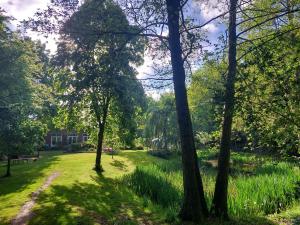 Zahrada ubytování Slaaphuisjes op wielen BuitenWedde Westerwolde