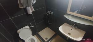 a small bathroom with a toilet and a sink at ODYSSEAS HOTEL SAMOS in Samos