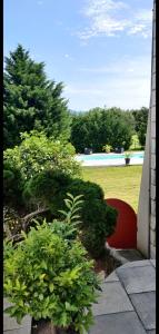 a garden with bushes and a pool in the background at L'Arche d' Engel in Courpière