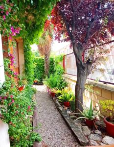 un jardín con flores y un árbol en un patio en Casa de Antonio, en Murchante