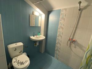 a bathroom with a toilet and a sink and a shower at Луксозен апартамент/ Lux apartment in Devin