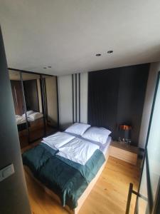 a bedroom with a large bed in a room at Apartament Szyndzielnia in Bielsko-Biala