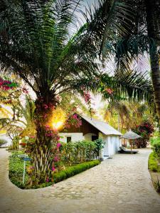 un resort con una palma e un edificio di CHEZ ALAIN a Toliara
