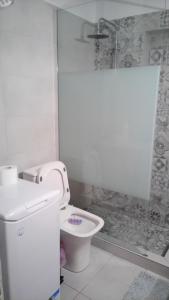 a white bathroom with a shower and a toilet at Alex Seaview House in Chorefto