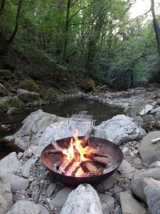 Senxunia Glamping Nel Bosco