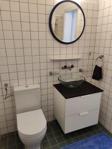 a bathroom with a toilet and a sink and a mirror at 1 Zimmer Studio mit Kitchenette in Bad Ragaz