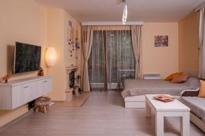 Μια τηλεόραση ή/και κέντρο ψυχαγωγίας στο Studio 6,Smolyan lakes