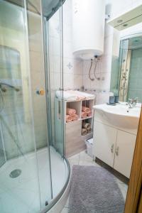 een badkamer met een douche en een wastafel bij Apartment Veninsek in Luče