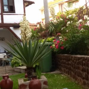 a garden with a bunch of flowers in a yard at Apartman Biljana in Berovo