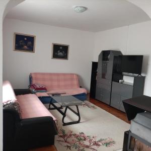 uma sala de estar com um sofá e uma televisão em Apartman Biljana em Berovo
