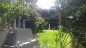 Κήπος έξω από το Hotel Posada Tolteca