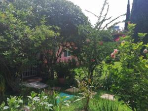 Κήπος έξω από το Hotel Posada Tolteca