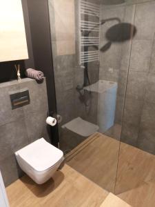 a bathroom with a toilet and a glass shower at Aparthotel - Buk in Buk