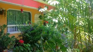 Κήπος έξω από το Hotel Posada Tolteca