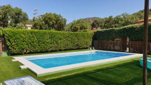 una piscina en un patio junto a un seto en Posada el Camino Almonaster, en Almonaster la Real