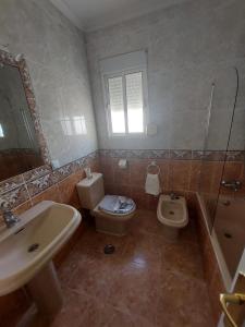 ein Bad mit einem Waschbecken, einem WC und einer Dusche in der Unterkunft piso villavarela in Tarifa
