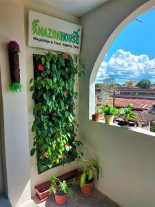 Zahrada ubytování Amazon House Hostel