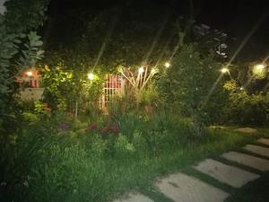 Κήπος έξω από το Hotel Posada Tolteca