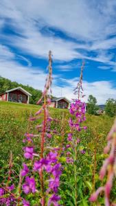 Φωτογραφία από το άλμπουμ του Levajok Lodge σε Tana