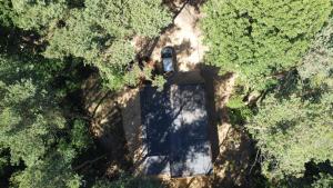 Vue de tête d'une voiture au milieu des arbres dans l'établissement Vakantiewoning De Kleine Duinberg - Chalet Nr 9, à Retie